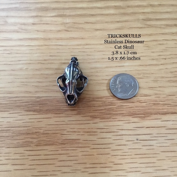 Sabre-Toothed Tiger Smilodon Big Cat Dinosaur Skull Stainless Pendant & Chain - Picture 4 of 13